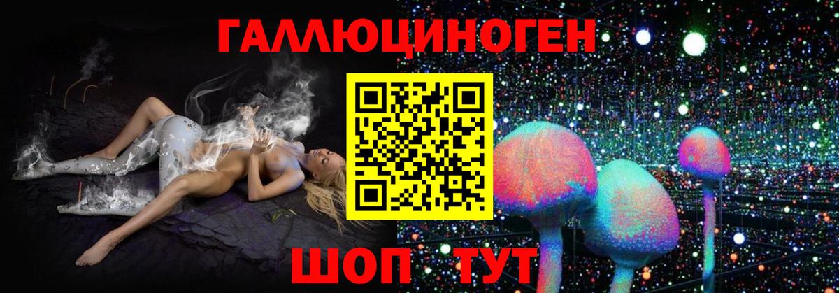 Галлюциногенные грибы прущие грибы Калач-на-Дону